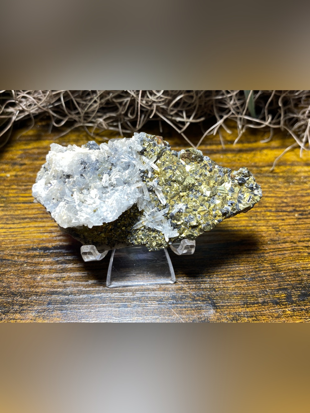 Skeletal Quartz & Pyrite
